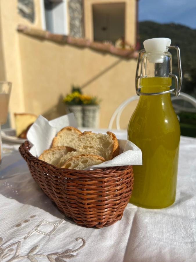 Agriturismo Le Merline Arnasco Экстерьер фото